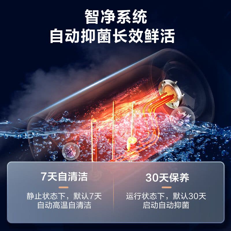 万家乐 60升电热水器60L家用 3200W大功率速热 一级能效 安全无电洗 智能抑菌 WIFI远程遥控D60-FW5图片