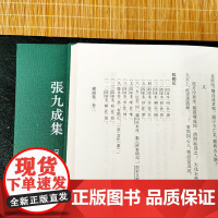 浙江文丛:张九成集(全套4册精装竖版繁体) 中国古典散文随笔作品文集 名家经典历史人物名人传记学术研究资料艺术理论正版图