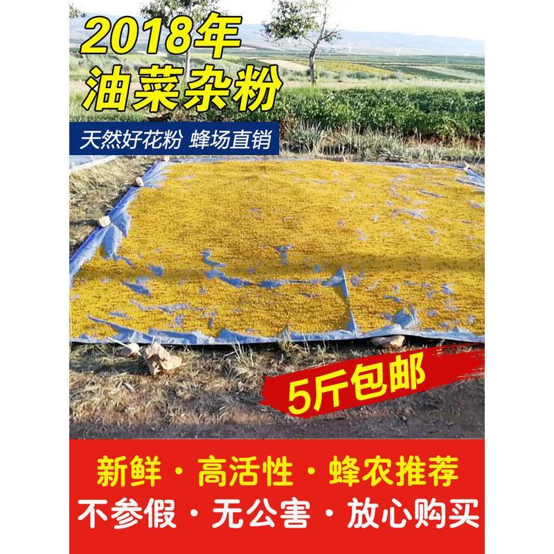 蜂具蜜蜂饲料花粉蜂用喂蜂花粉油菜荞麦杂粉养蜂工具优质蜂粮