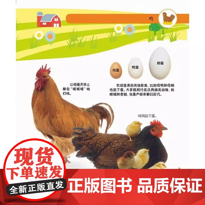 DK幼儿创意思维训练(套装全4册)虫虫总动员 海洋生物秀 农场动物们 人体大冒险亲子共读互动思维训练书 精装多版本可选高清大图