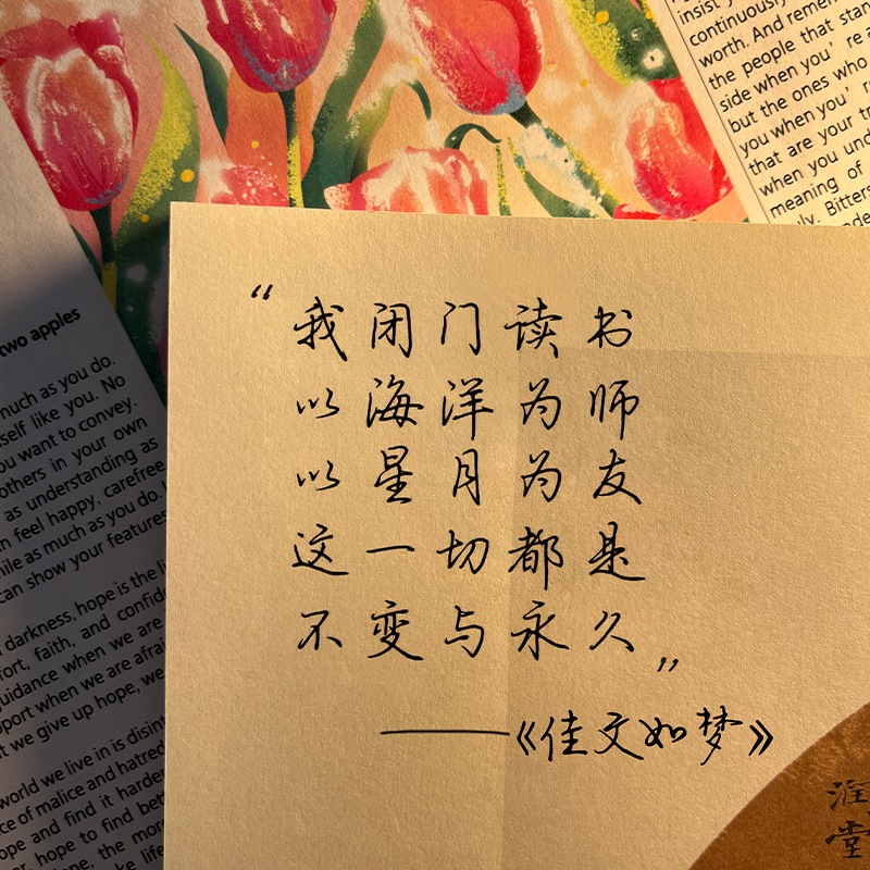 [单本描红]李清照(严海南-楷书) [正版]字帖成人练字女生荆霄鹏楷书行楷字帖练字帖女生字体漂亮大气簪花小楷硬笔书法钢笔高清大图