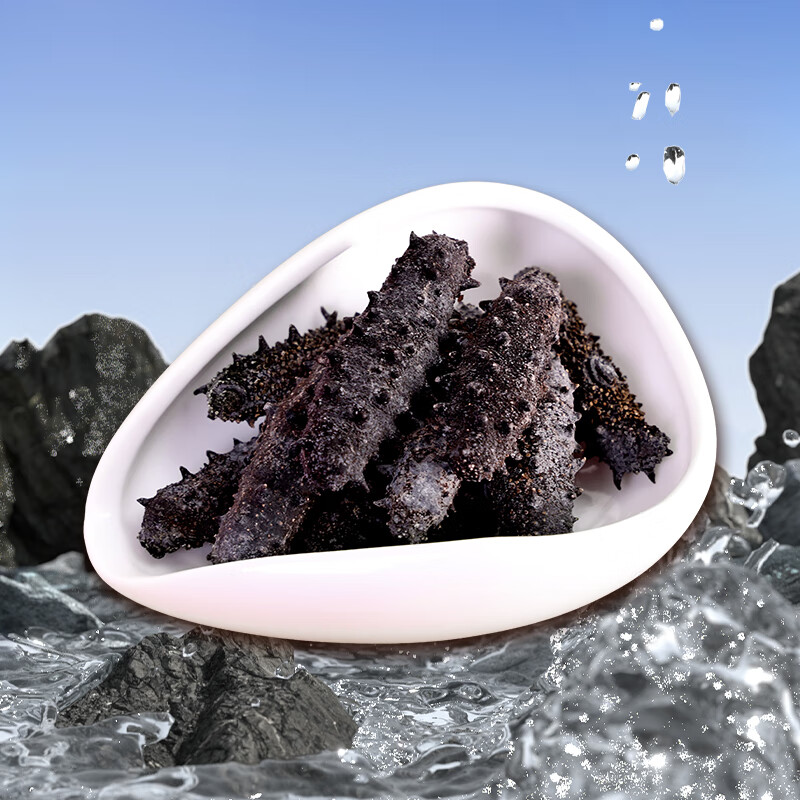 星龙港 大连 淡干海参——禄运恒通90g(16头)高清大图