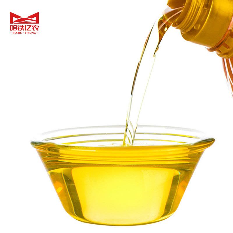 哈铁亿农 葵花油5L/桶图片