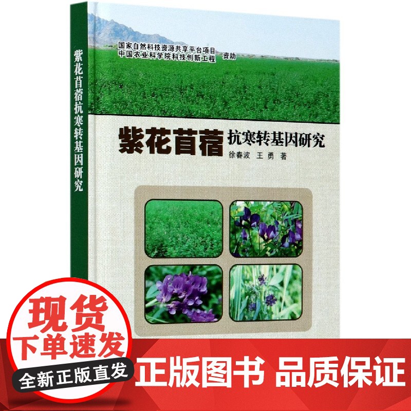 紫花苜蓿抗寒转基因研究 徐春波 王勇 编 9787511649911 中国农业科学技术出版社高清大图