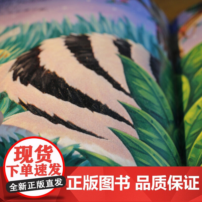 童立方·小手触摸系列·幼儿社交互动启蒙图画书:丛林动物,你好!扫码听英文音频高清大图