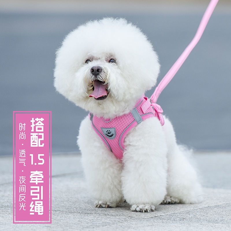 狗狗牵引绳背心式胸背带比熊犬遛狗中小型犬牵狗绳幼犬柯基狗链子 单个胸背(红色) XS-[适合3斤内]