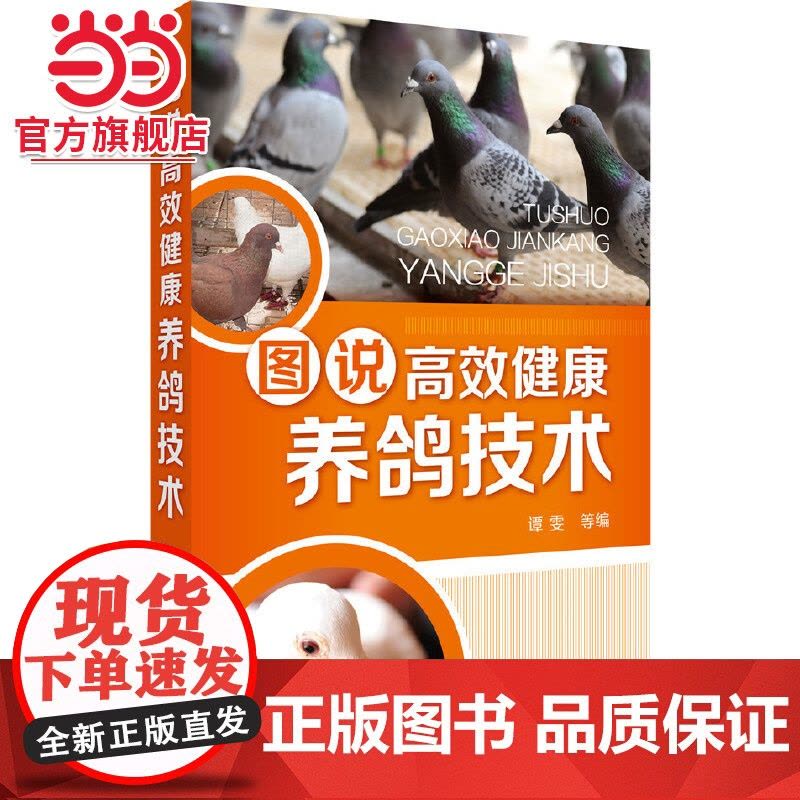 图说高效健康养鸽技术 谭雯 饲料配制鸽场建设鸽场经营管理技术 肉鸽养殖书 品种繁殖营养需求饲料配制常见病诊治养鸽子书图片