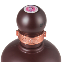 金种子 徽蕴百年种子酒 40度 460ml*6 箱装 浓香型 白酒