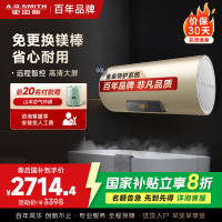 AO史密斯60升电热水器 金圭内胆 专利免更换镁棒 晶彩外观 双棒双3kW速热 遥控 60P2 一级能效