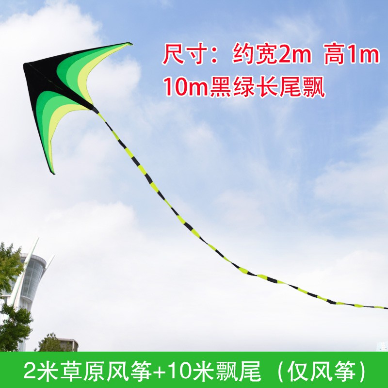 成型新款2020高档大原 特大巨型微风易飞抗大风三角大风筝创意 三维工匠 2.0m草原【22cm水晶轮+600m_35