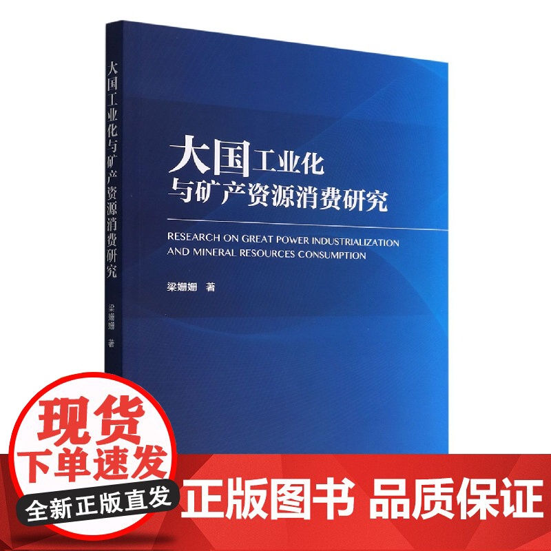 大国工业化与矿产资源消费研究高清大图