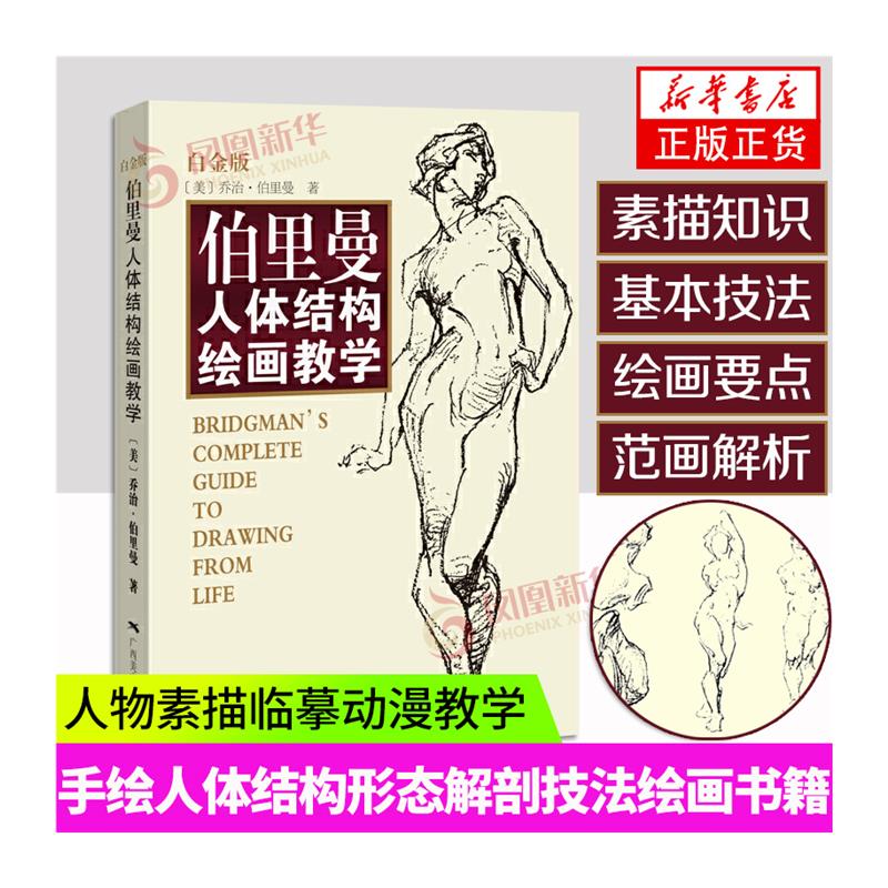 [正版]伯里曼人体结构绘画教学白金版人体结构造型手绘技法艺用画手解剖高清大图