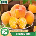 【苏鲜生】顺丰快递 山东黄金毛蟠桃 新鲜水果 净重4.5斤 当季整箱脆甜扁桃子水蜜山桃孕妇