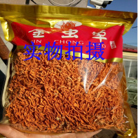 北虫花金虫子实体蛹虫正品干货一斤煲粥汤精品食材直销