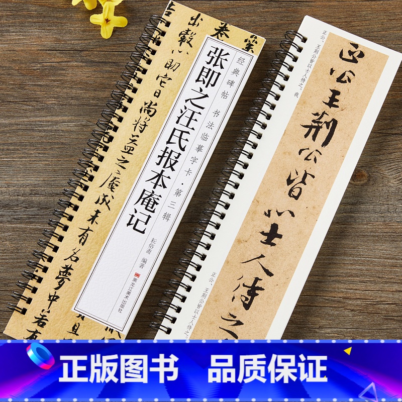 【正版】张即之汪氏报本庵记行楷行书毛笔书法字帖 南宋经典碑帖书法临摹字卡原大加放大版附简体旁注 近距离临摹字卡 黑龙江