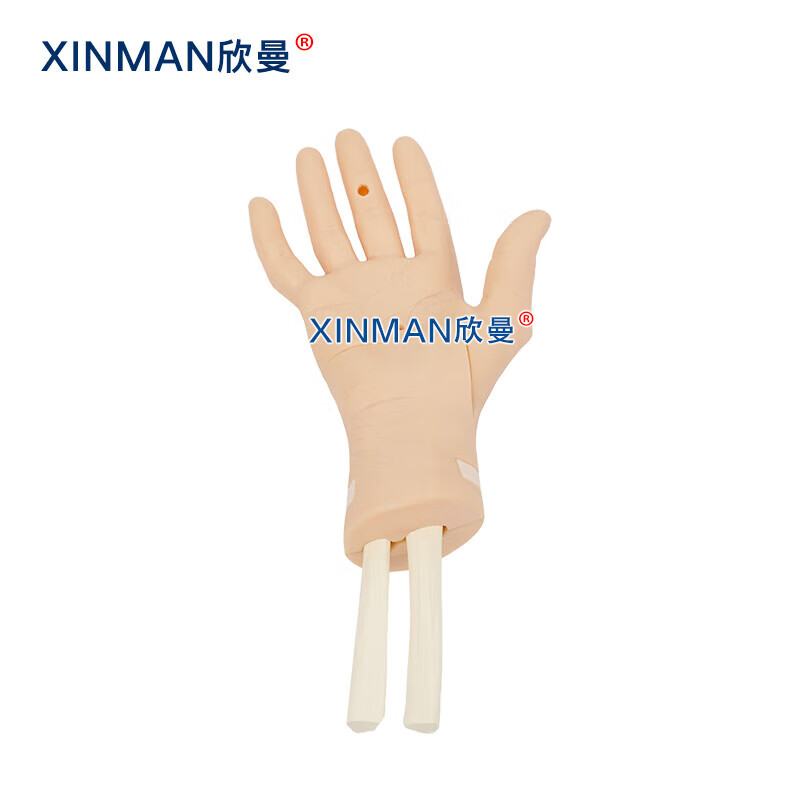欣曼科教 腕关节镜检查操作训练模型 腕关节解剖模型XM-WL108高清大图