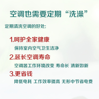 坤宁王 空调清洗挂机汽车空调免拆污垢剂多功能去污空调 空调清洗剂1瓶装