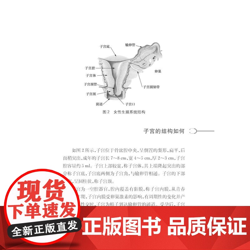 健康中国家有名医丛书子宫疾病诊断与治疗 上海科学技术文献出版社临床表现诊断鉴别治疗预防守护女性健康高清大图