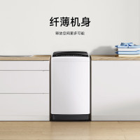 [23年新品]小米米家波轮全自动洗衣机租房宿舍 8KG公斤大容量不锈钢内桶健康桶自洁水位调节 弦月黑XQB80MJ203