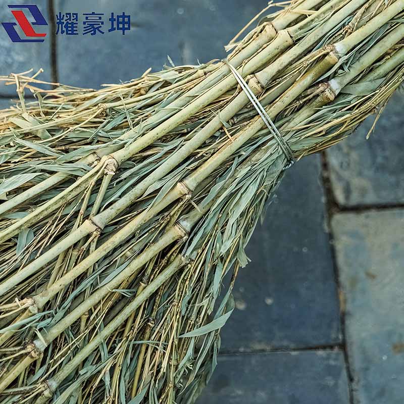 耀豪坤大扫把带叶约6斤 ZGS高清大图