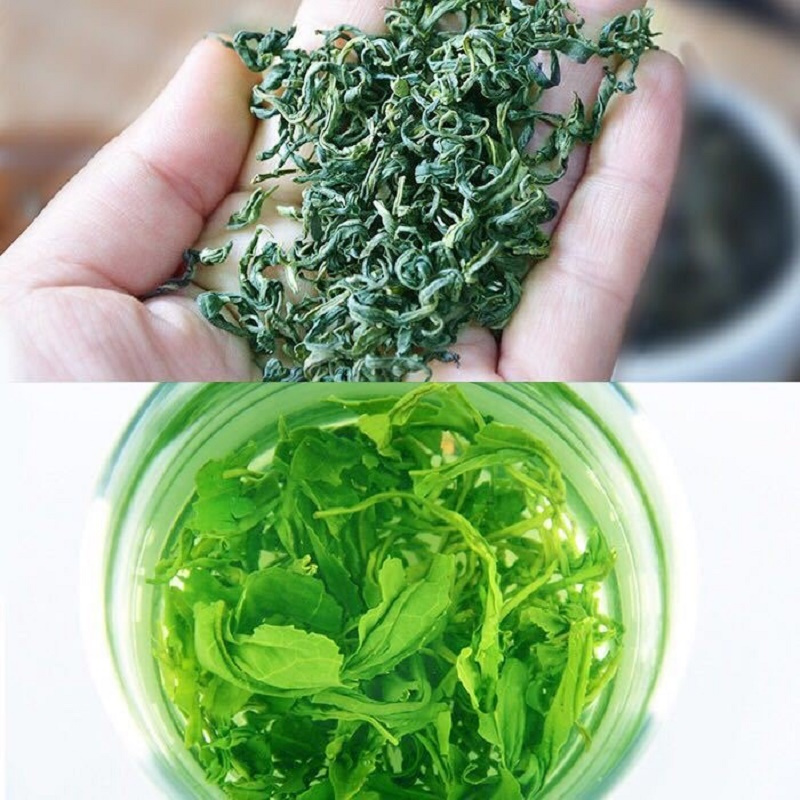 买1送陶瓷杯 2019年新茶 正宗高山云雾绿茶茶叶 日照充足多规格选