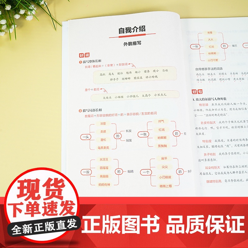 开心 第1版 小学生场景化好词好句好段 全4册 开心作文研究中心编 湖南教育高清大图