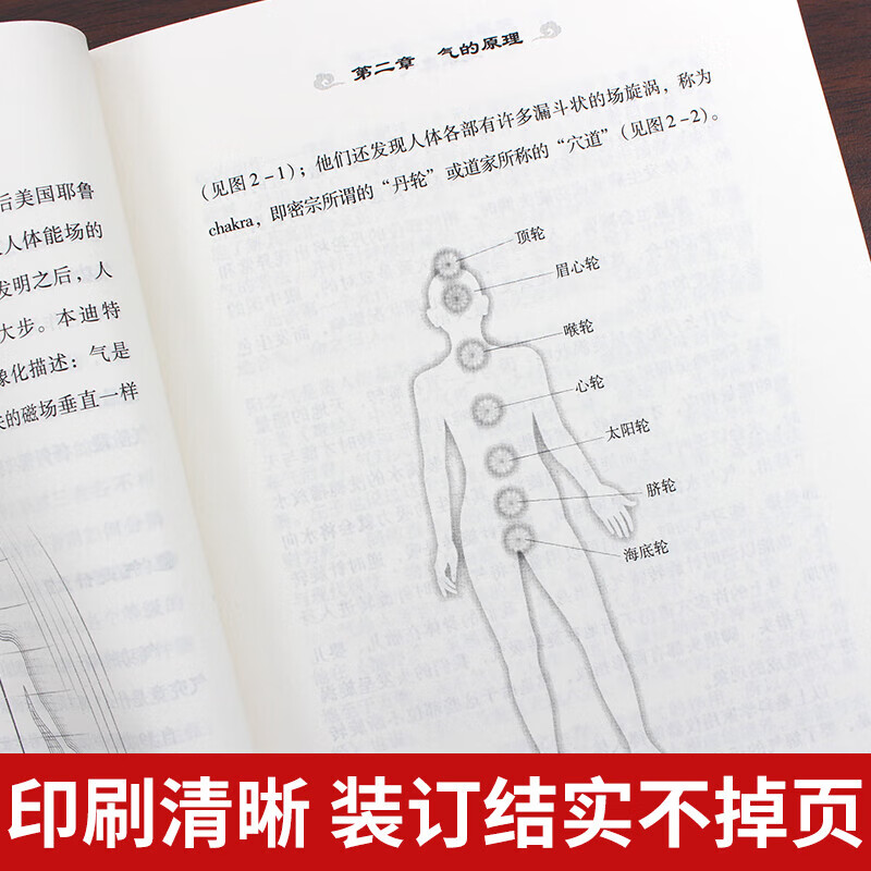 道家真气 [正版] 道家真气 气功修练次第 湛若水著 传承两千余年的梅花门修炼心得 气功初学者修炼入门指南 道家真气养生高清大图