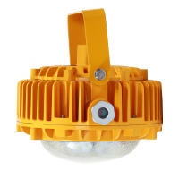 光大特照 EBF605(L) LED AC220V 48W IP68 5700K 抗震防爆平台灯 (计价单位:盏) 黄色