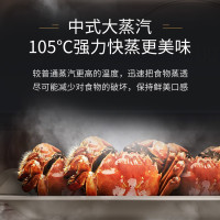 西门子(SIEMENS)嵌入式蒸箱蒸汽炉 30种自动程序45L大容量专用蒸箱CD289ABS0W