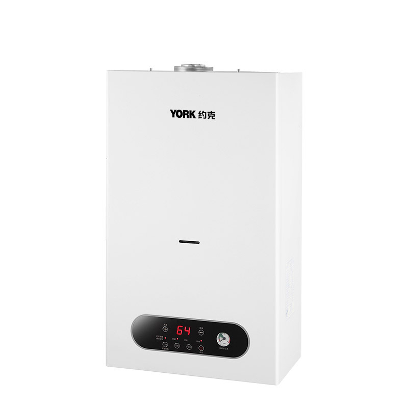 约克(YORK) LIPB20 电热水器 燃气壁挂炉