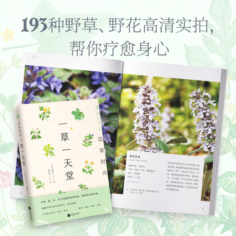[醉染正版]花草时光一草一天堂 赠花草便签本 森乃乙书籍生活养花书江苏凤凰文艺出版社鉴赏食用泡茶装饰将花草融入生活治愈身高清大图