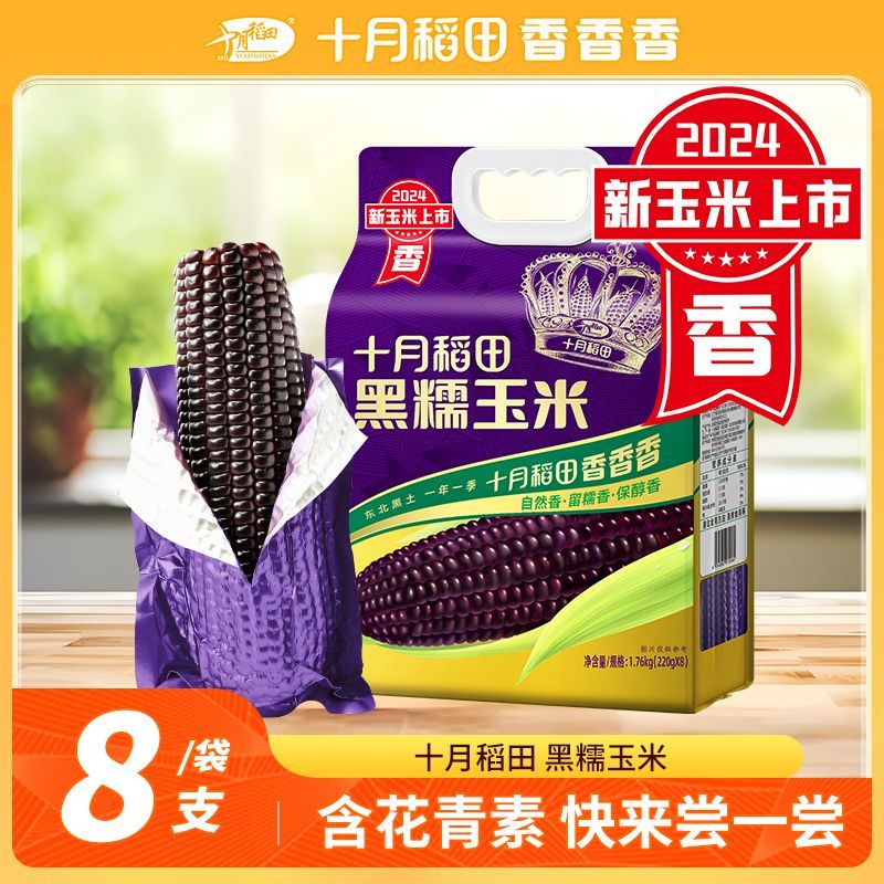 十月稻田黑糯玉米220g*8根东北软糯甘甜大棒富含花青素清香1.76kg