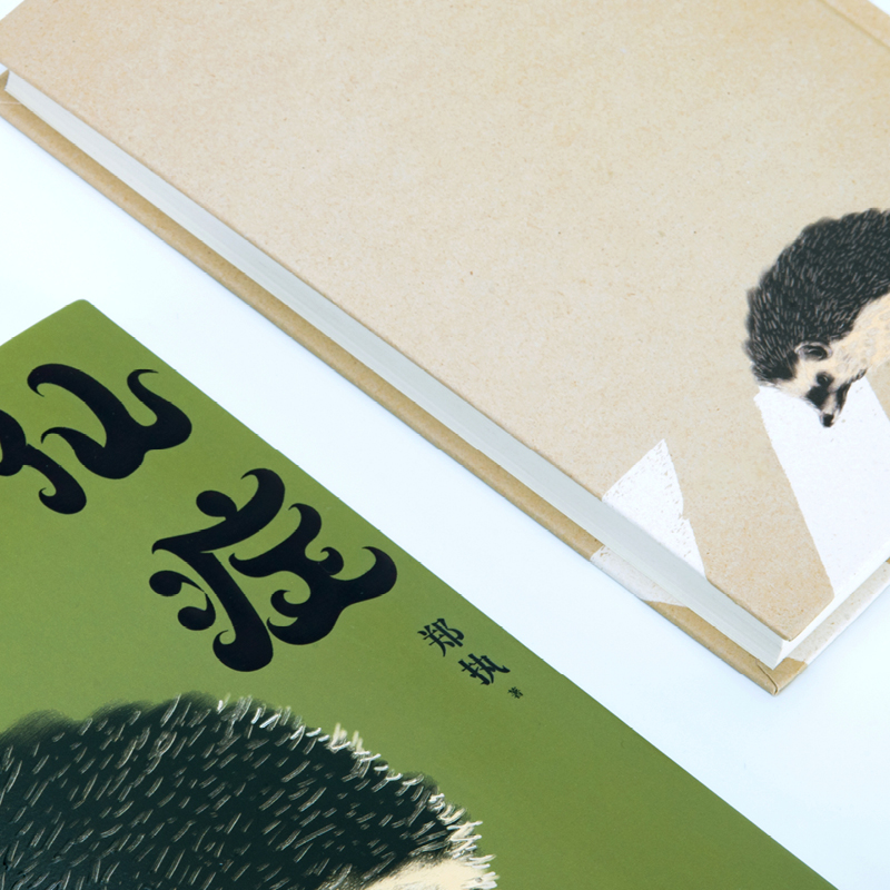 [正版] 《仙症》 郑执 生吞作者 刺猬 电影原著小说改编 鲤·匿名作家计划奖中国现当代文学作品小说集书籍魔幻故事侦探高清大图