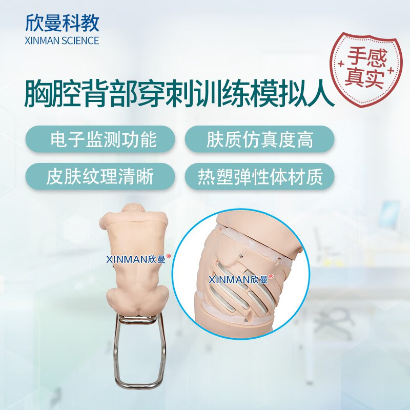 欣曼科教 胸腔背部穿刺训练模拟人 胸腔穿刺操作模型XM-LXQA