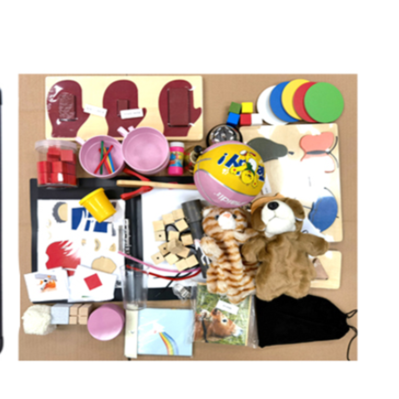 尚智慧童 C-PEP-3自闭症评估管理系统 V2.0 专业版便携套装早教教具高清大图