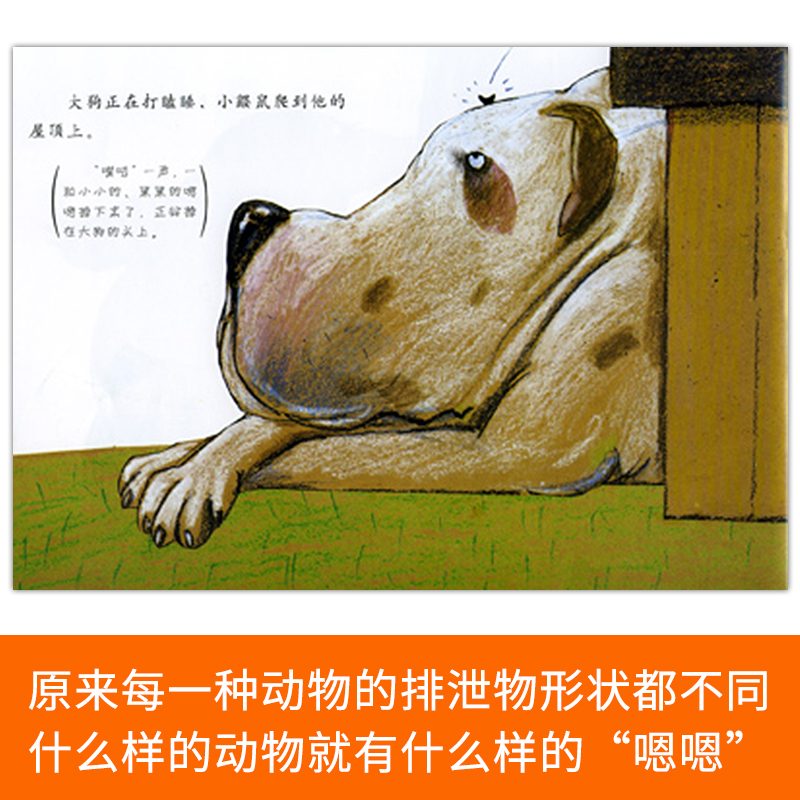 单本全册 [正版]是谁嗯嗯在我的头上硬壳精装 图画书启发幼儿趣味故事书认识各种动物的嗯嗯儿童情商启蒙绘本适合2岁3岁4岁