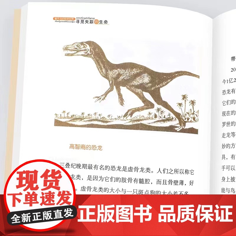 看不见的科学世界 全13册 小学生趣味科普儿童百科全书 人体密码破译大脑红细胞地球恐龙反物质微生物神奇的分子结构诡秘的射高清大图