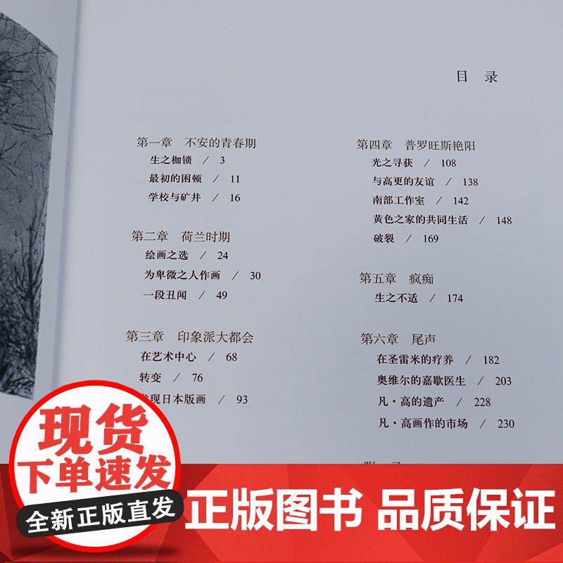 艺术家系列伟大艺术家和他们的传世名画凡高达芬奇高更达利米开朗琪罗克里姆特波提切利勃鲁盖尔拉斐尔卡拉瓦乔画册手稿绘画书籍高清大图