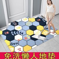 可擦洗进门地垫pvc门垫卧室门口脚垫入户门防水防油厨房地毯免洗