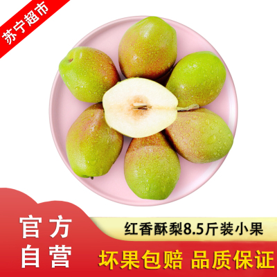 现摘红香酥梨8.5斤装小果 自营水果应季新鲜水果