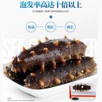 海福康 90-120头海参 饱满肥厚参刺挺拔 肉质Q弹 4-5年生淡干海参每500g