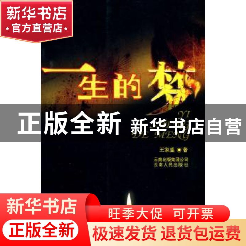 正版 一生的梦 王家盛著 云南人民出版社 9787222063174 书