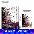 【正版】赠透卡×1 文豪野犬漫画15-16册 套装2册 朝雾卡夫卡文豪野犬漫画版人气异能战斗动漫侦探推理文豪野犬漫1套战