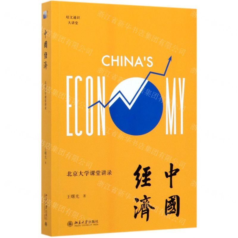 【N】中国经济(北京大学课堂讲录培文通识大讲堂)-9787301312216