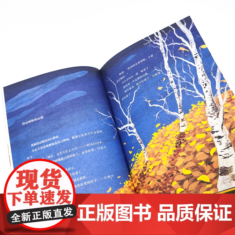 小山羊走过田野高清大图