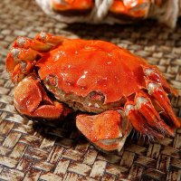 蟹灵阁阳澄湖大闸蟹公蟹4.0两 母蟹3.0两 4对8只螃蟹礼盒装