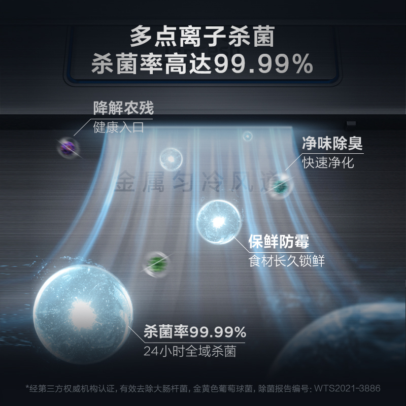 TCL 550升对开双开门一级能效智能独立三系统 干湿分储 多温区随心调节 多点离子杀菌 家用冰箱R550Q10-S