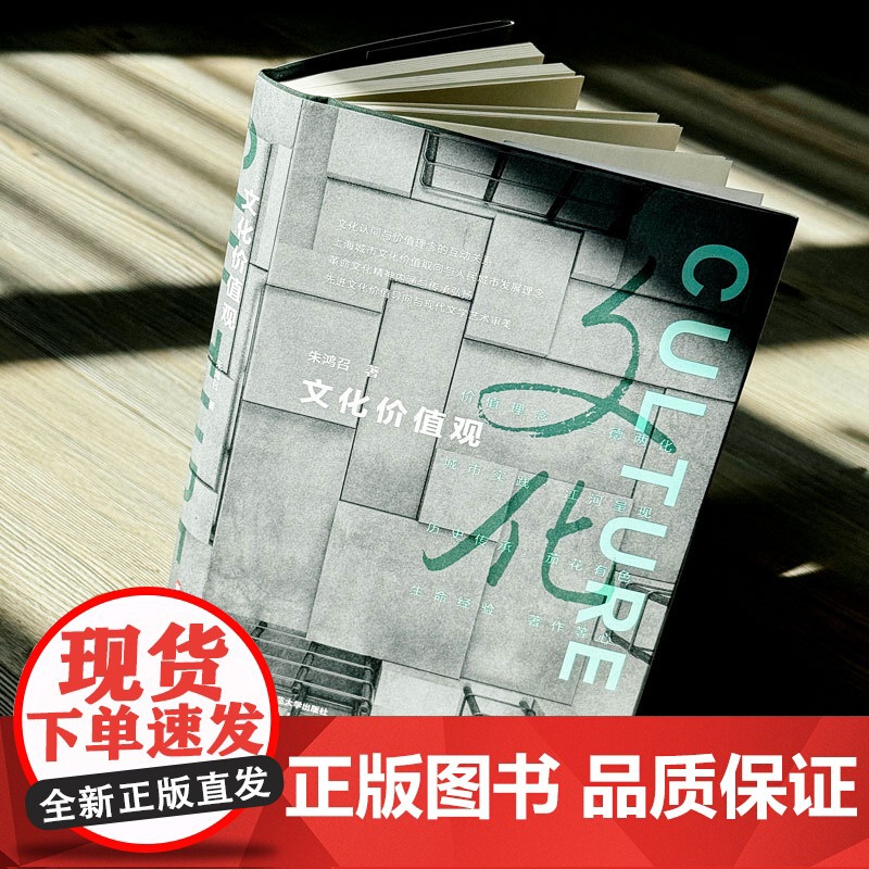 文化价值观 精装 朱鸿召 文化认同 价值理念 华东师范大学出版社高清大图