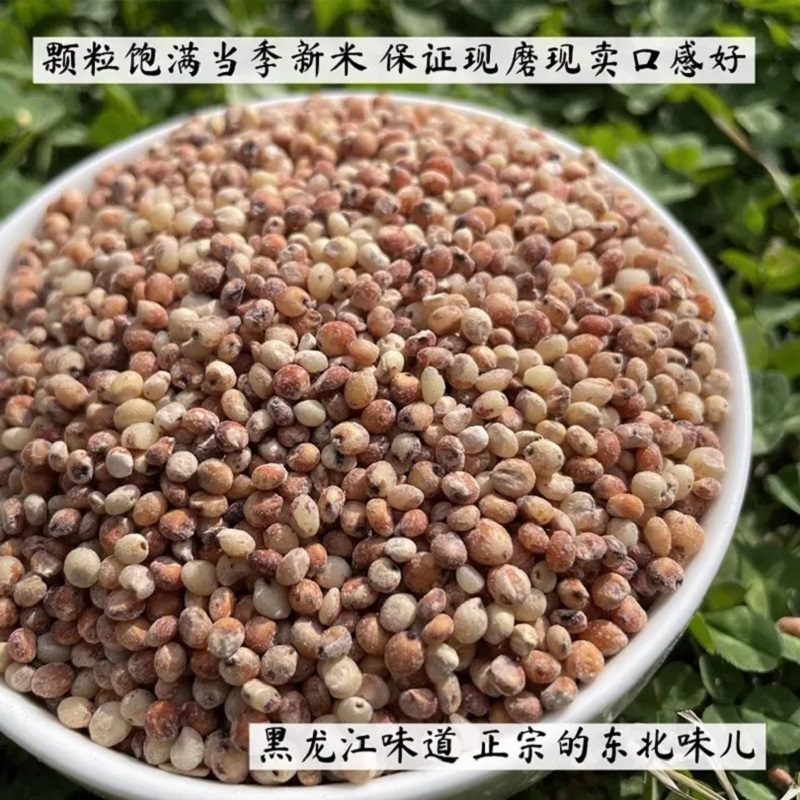 [450g*2]东北糯高粱米450克 当季新米 2袋高清大图