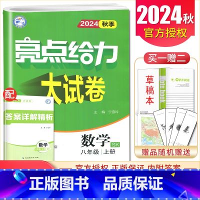 【正版】2024秋亮点给力大试卷数学八年级上册苏科版 8年级上同步初二课时单元练习 初中同步跟踪检测微专题突破分类专项复